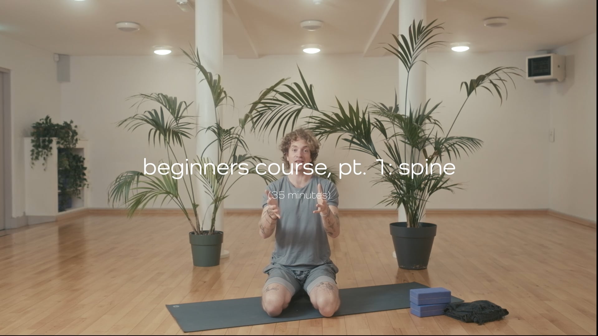 Beginners Course – Part 1: Spine – 35 mins