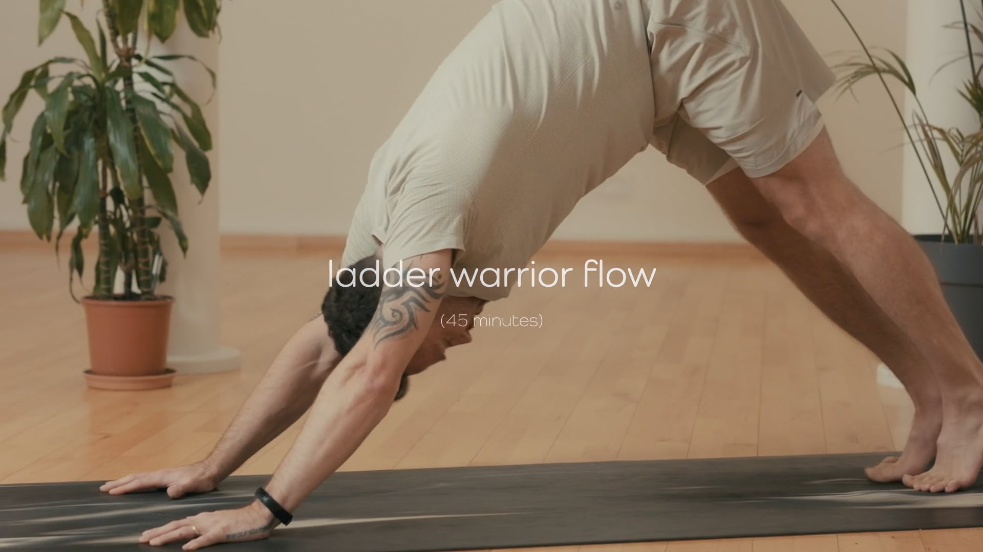 Ladder Warrior Flow – 45 mins