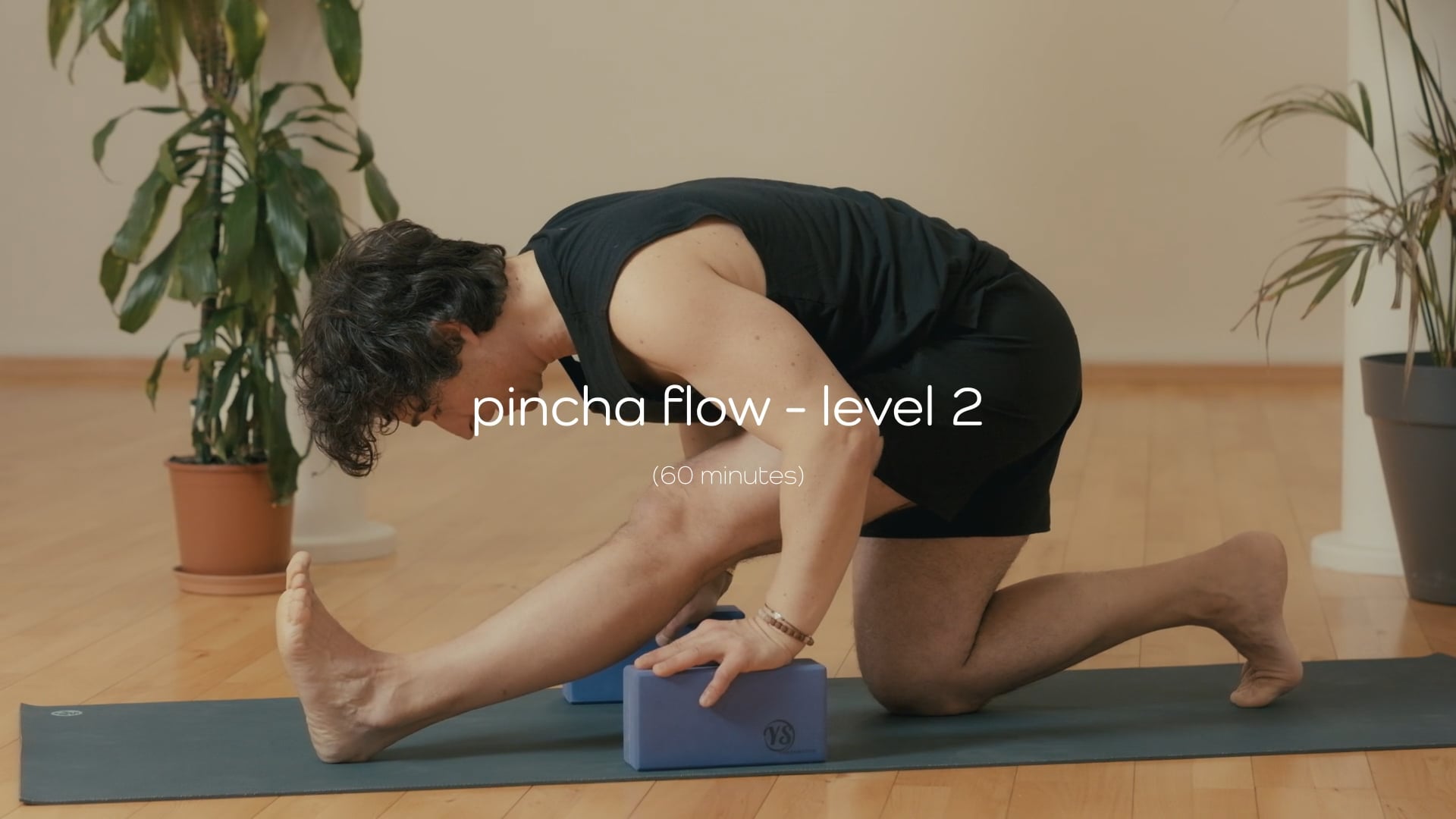 Pincha Flow – Level 2 – 60 mins