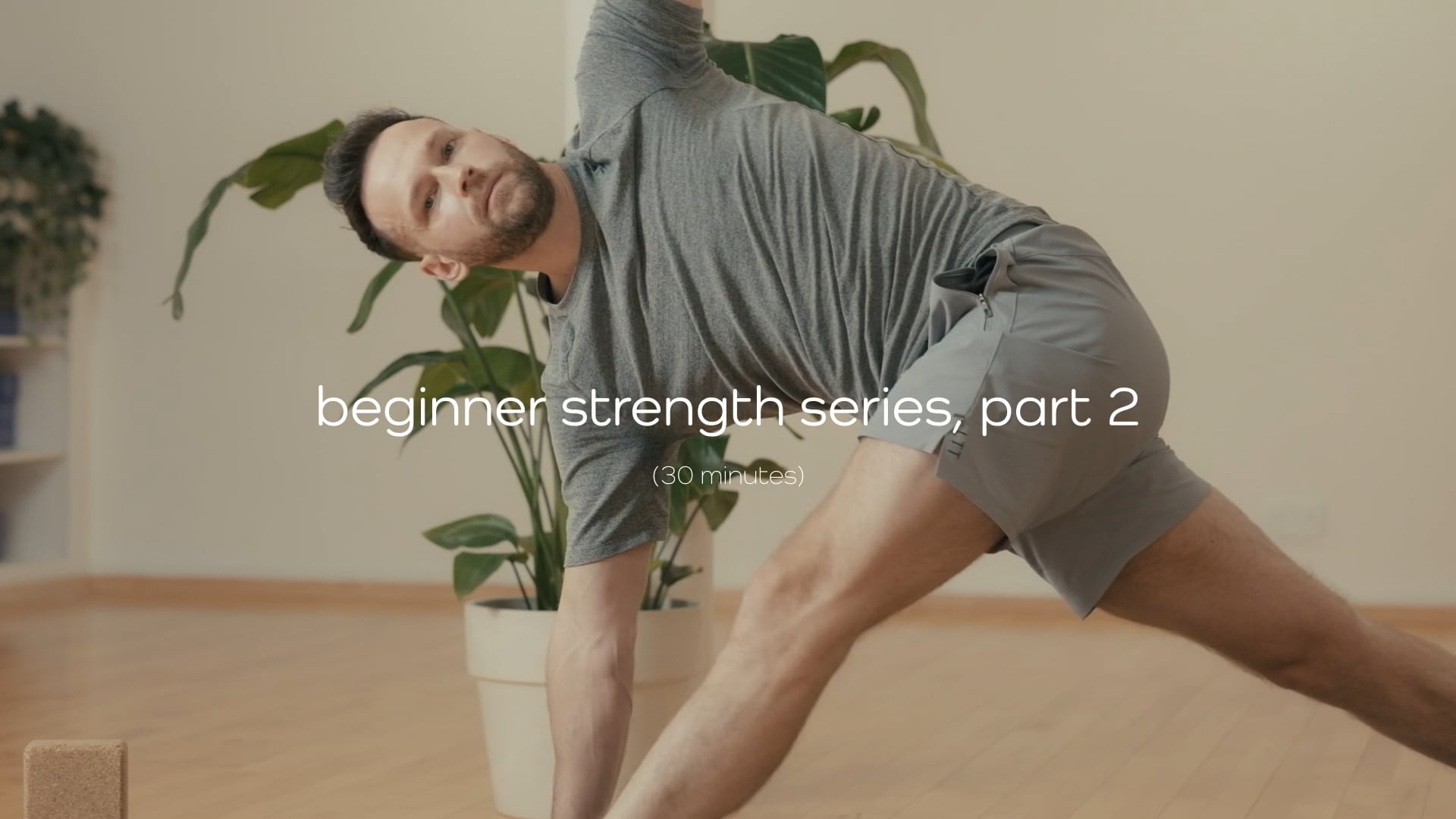 Yoga : Beginner Strength Series | Part 2 – 30 mins