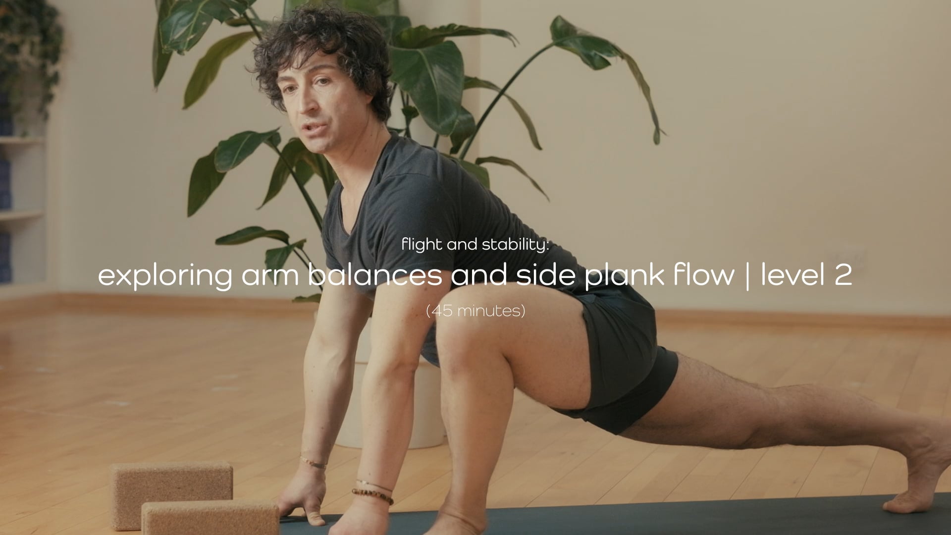 Flight and Stability: Exploring Arm Balances and Side Plank Flow | Level 2 – 45 mins