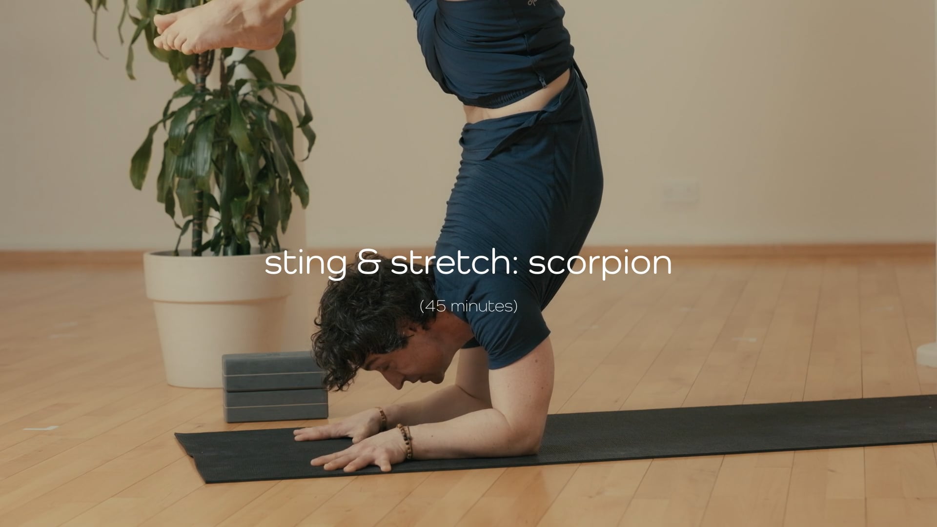 Sting & Stretch: Scorpion Flow Yoga | Level 2 – 45 mins